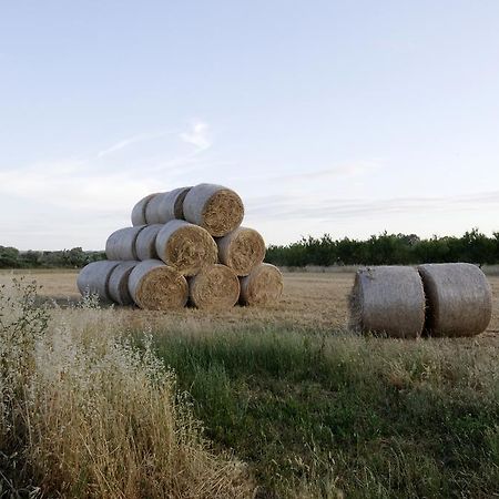 Agrimat Salento Sas Villa Alezio Bagian luar foto
