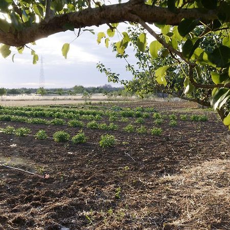Agrimat Salento Sas Villa Alezio Bagian luar foto