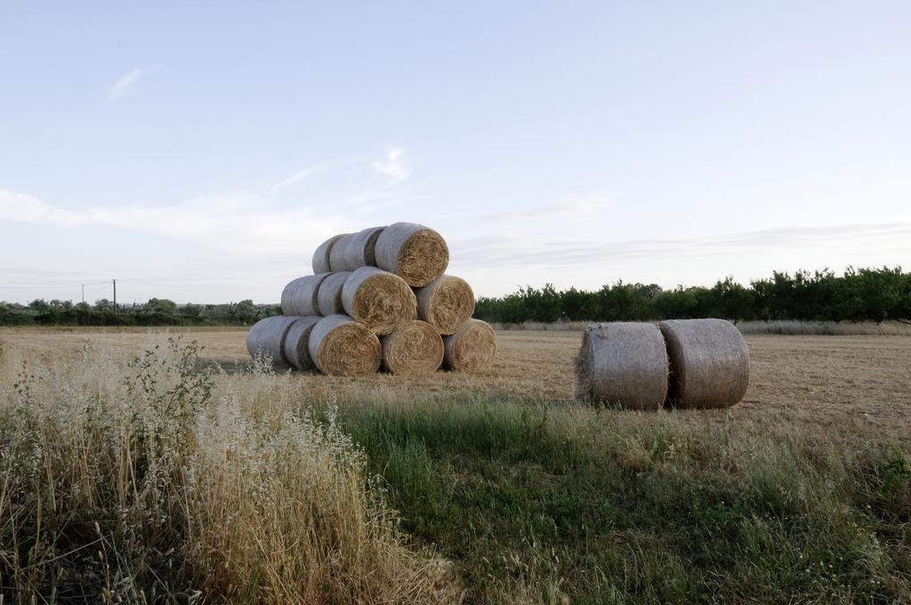 Agrimat Salento Sas Villa Alezio Bagian luar foto
