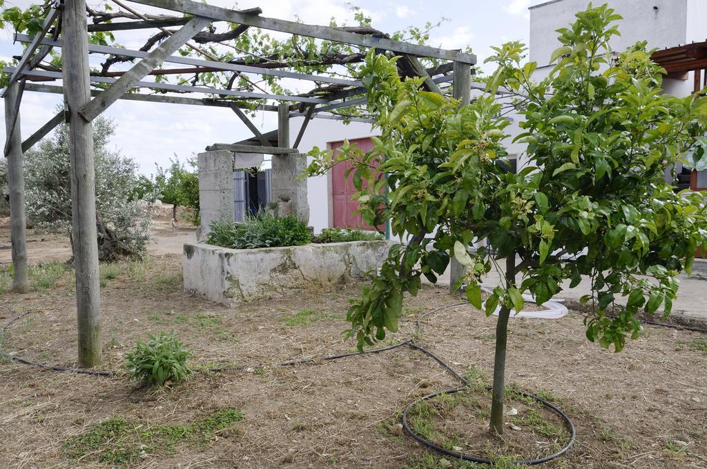 Agrimat Salento Sas Villa Alezio Bagian luar foto