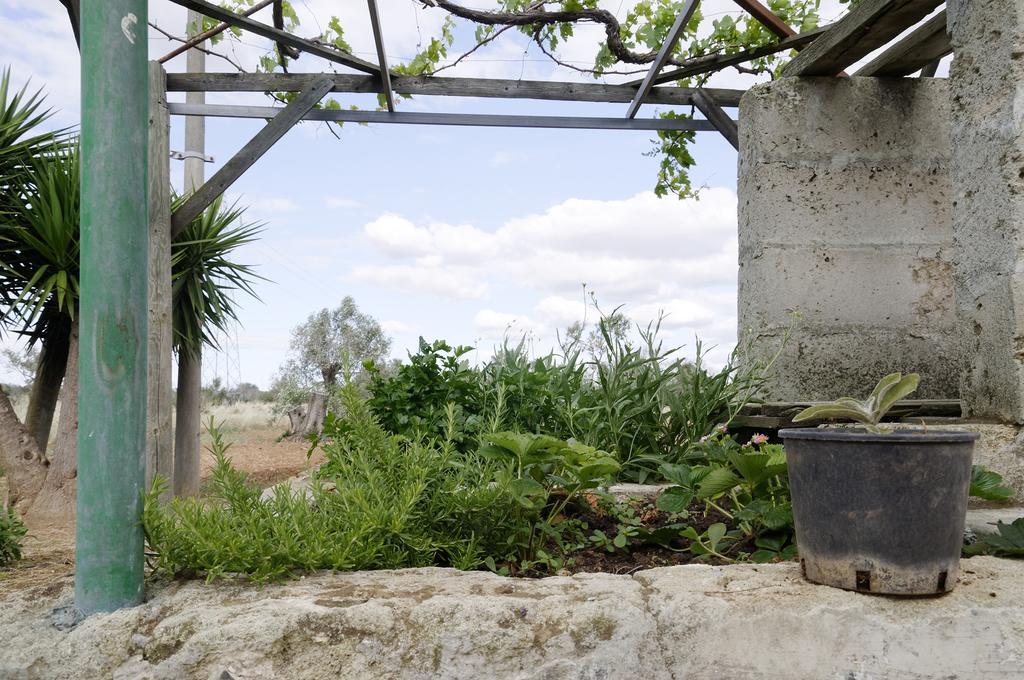 Agrimat Salento Sas Villa Alezio Bagian luar foto